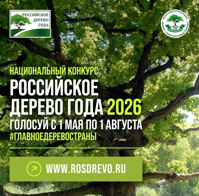 Всероссийский конкурс «Российское дерево года — 2026»