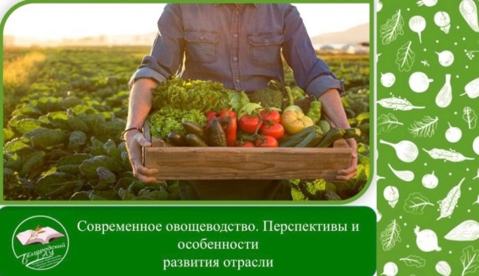 Мечтаете о стабильных урожаях, здоровых растениях и прибыльном хозяйстве? Времена, когда овощеводство сводилось к «посадил и полил», давно прошли. Сегодня это — высокотехнологичная отрасль, где успех зависит от знаний и навыков.