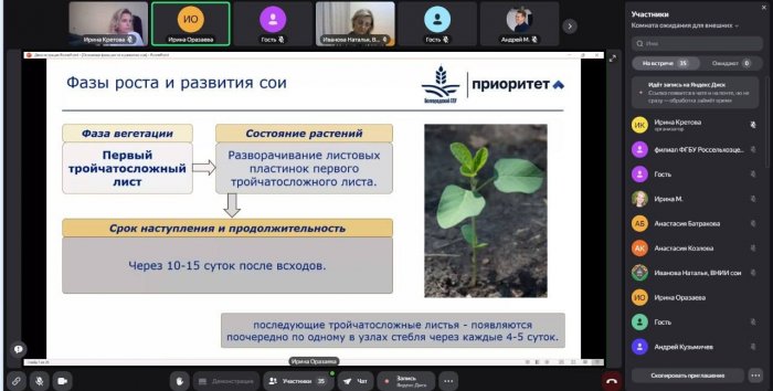 Новые горизонты соеводства: в ИПКА уникальные программы повышения квалификации 