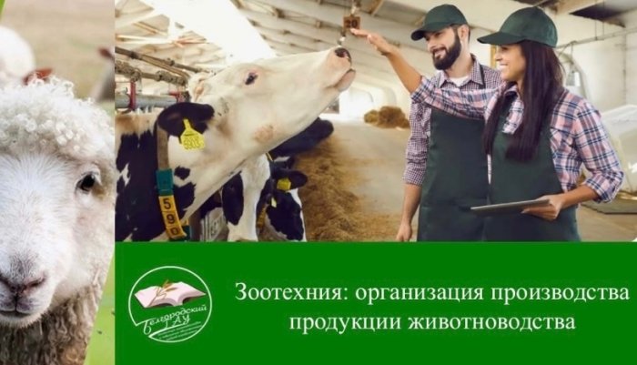 Станьте экспертом в организации производства продукции животноводства!