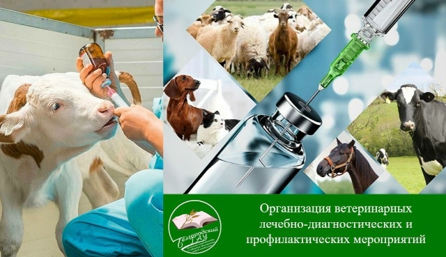 Организация ветеринарных лечебно-диагностических и профилактических мероприятий