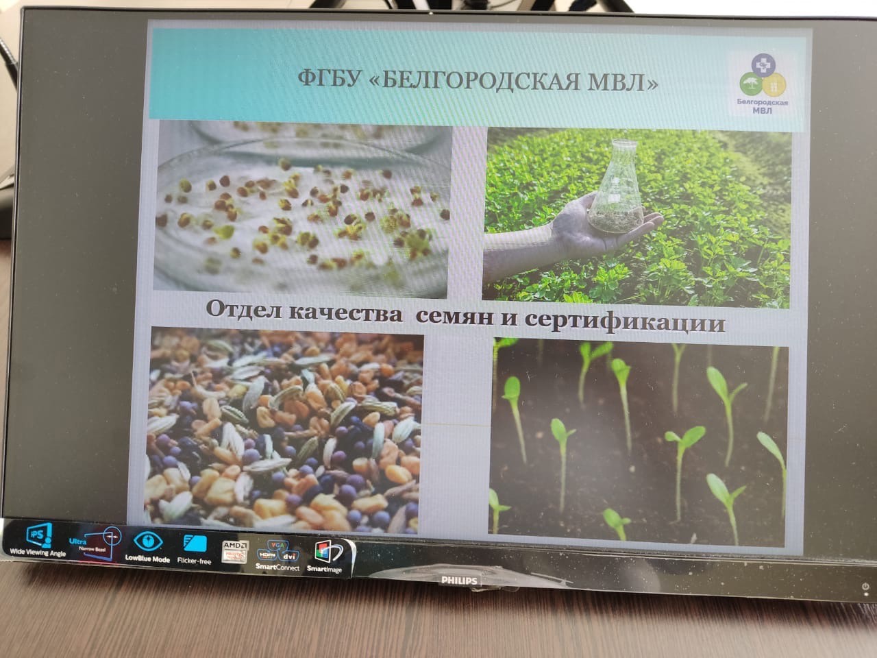 Завершилось обучение специалистов Агрохолдинг «Мираторг» по программе «Сортоведение и апробация сельскохозяйственных культур. Отбор проб»