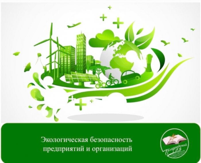Экологическая безопасность предприятий и организаций